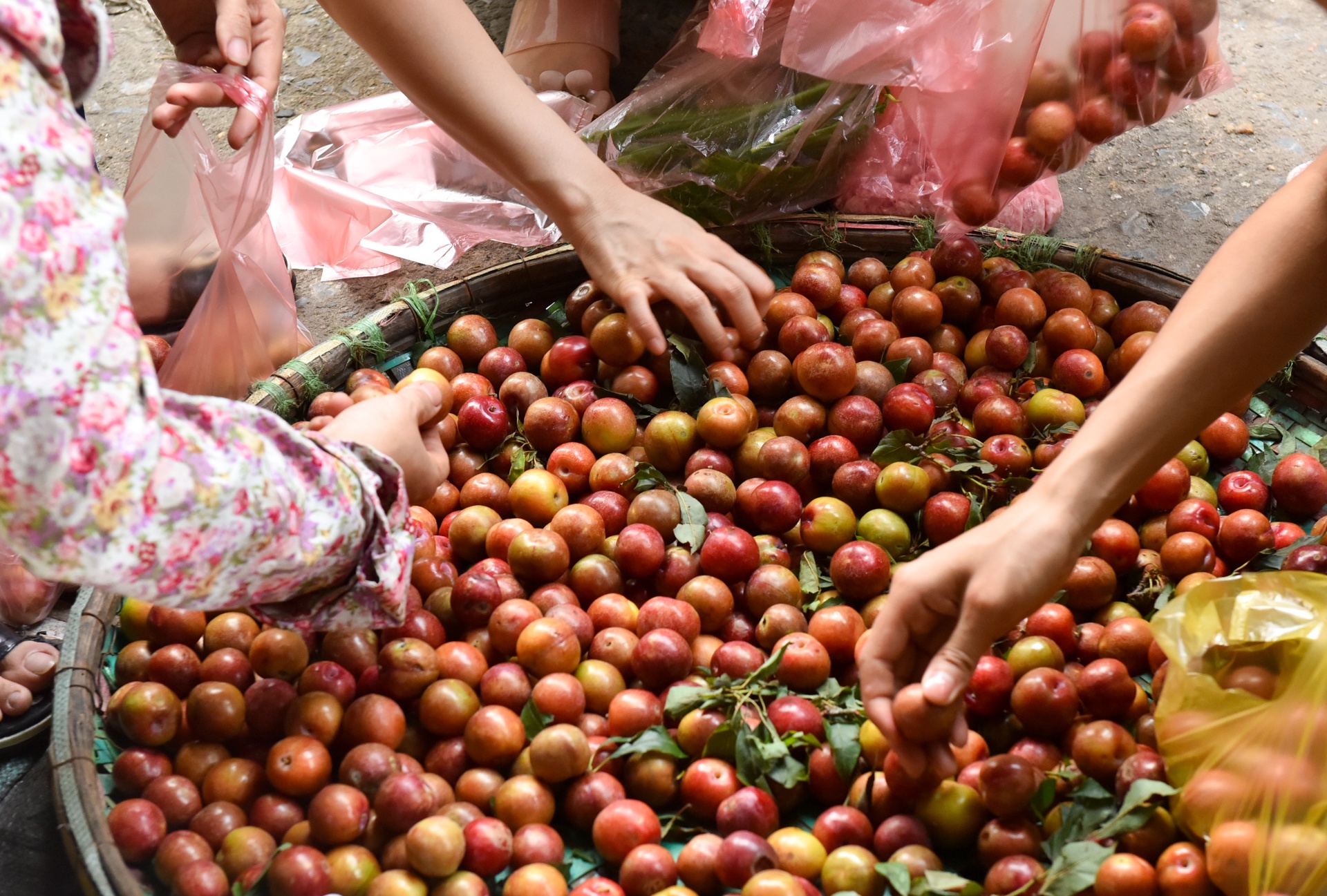 Man, roi dat hang trong ngay Tet Doan Ngo hinh anh