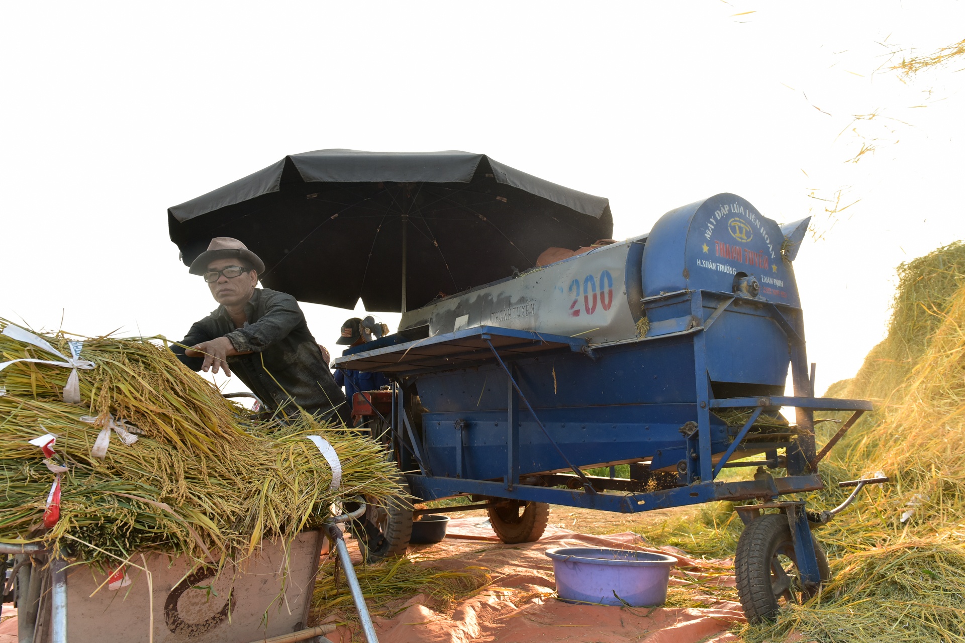 gat lua trong nang nong ky luc anh 11