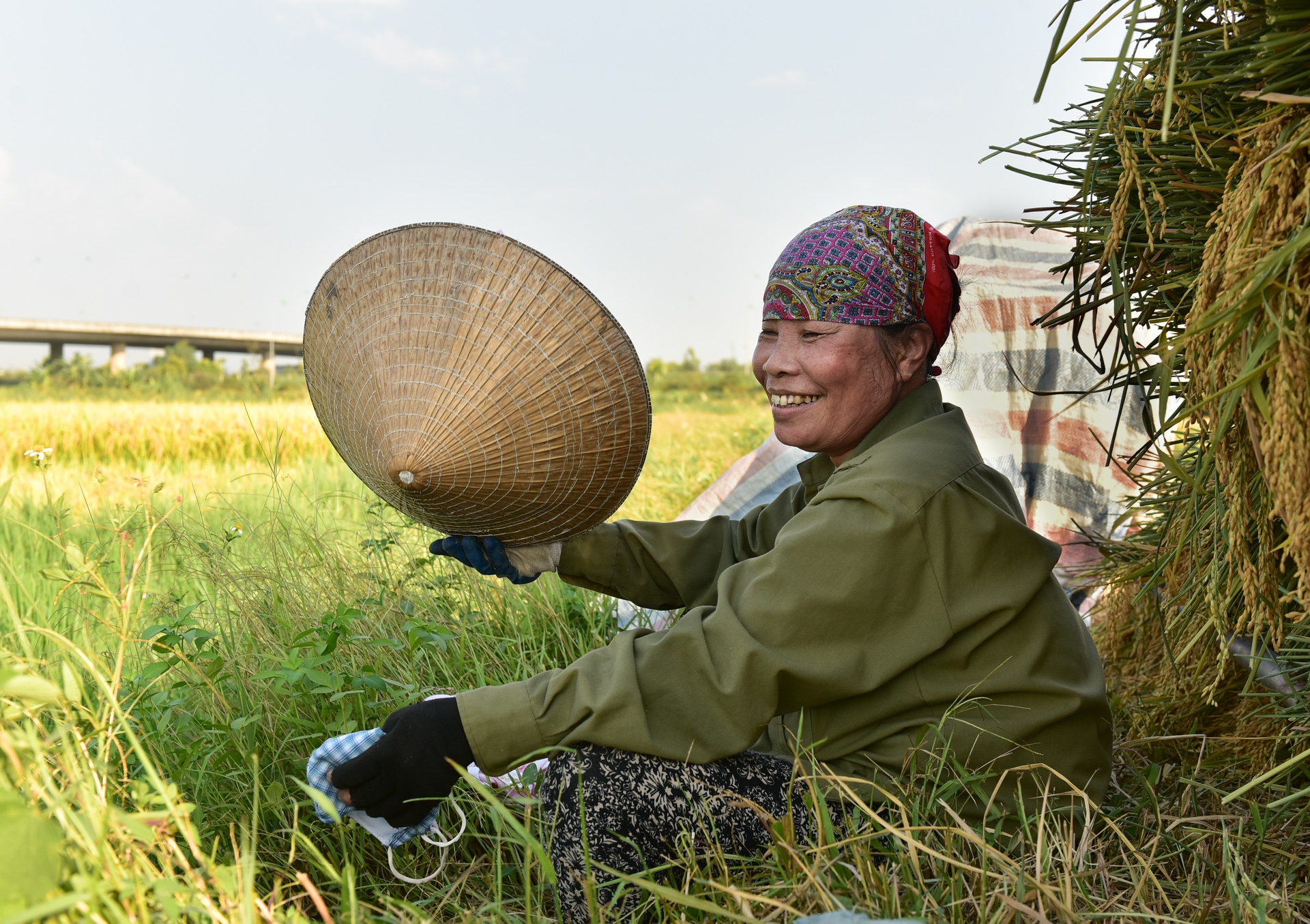 gat lua trong nang nong ky luc anh 7