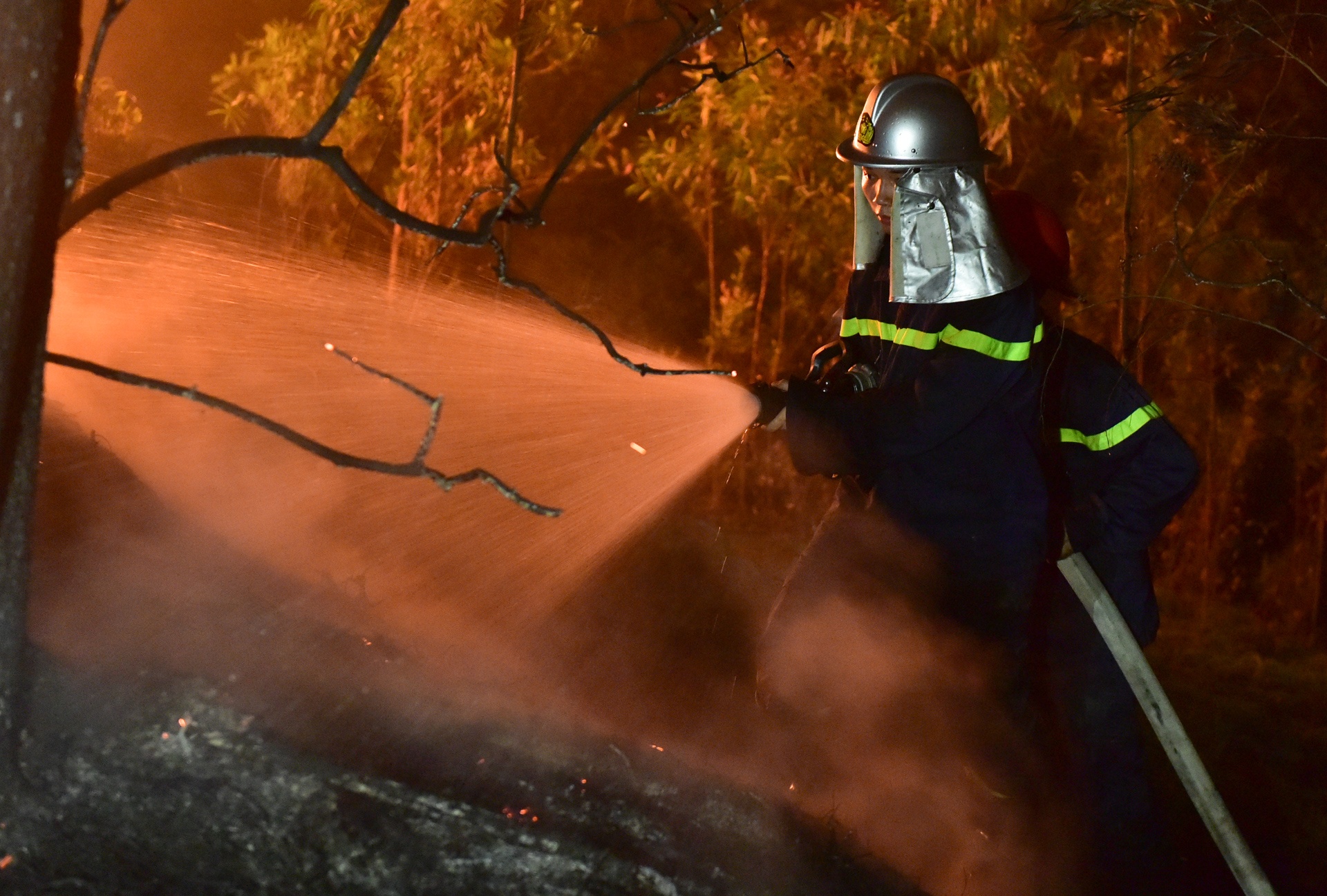 chay rung o Soc Son anh 10