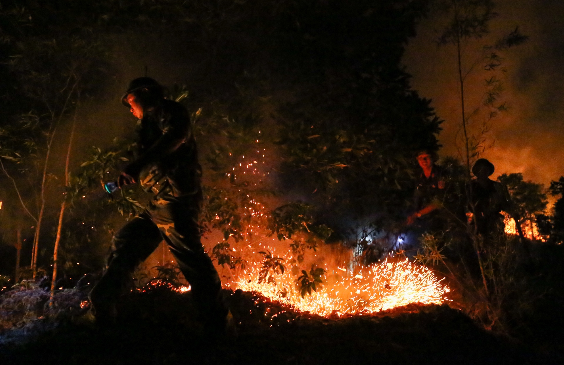 chay rung o Soc Son anh 5