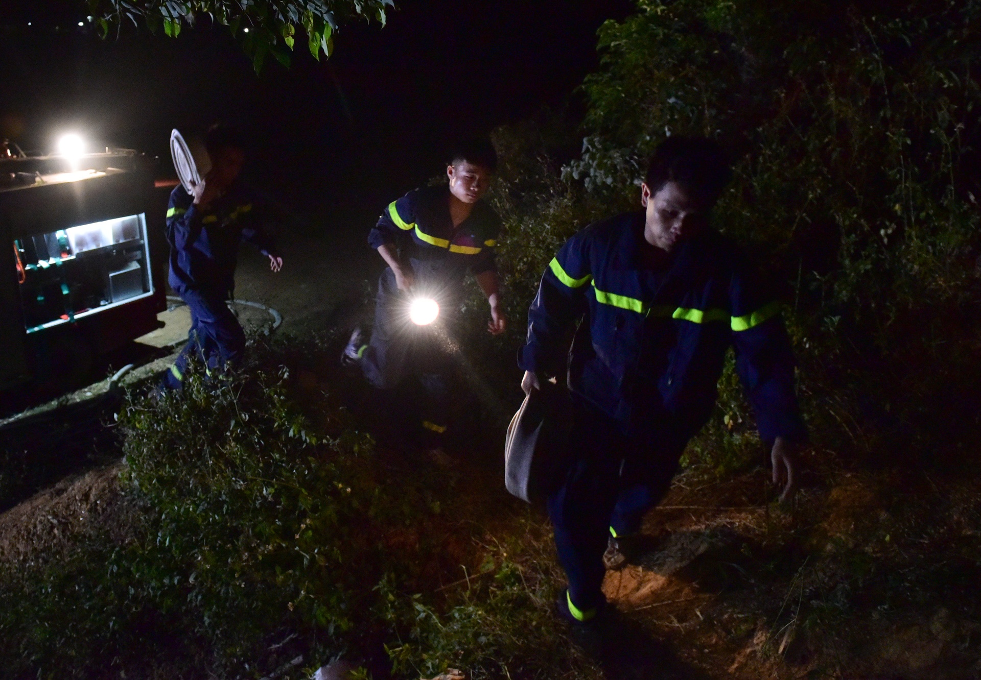 chay rung o Soc Son anh 6