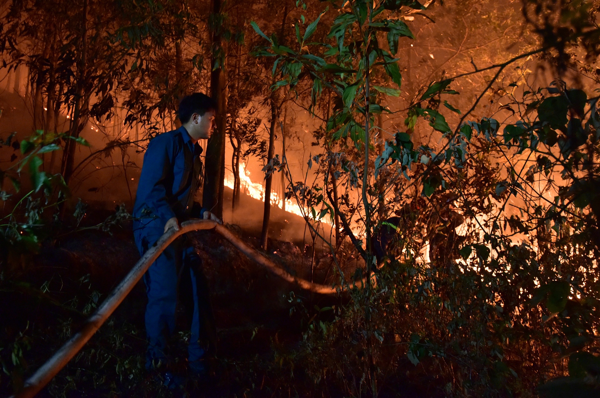 chay rung o Soc Son anh 7