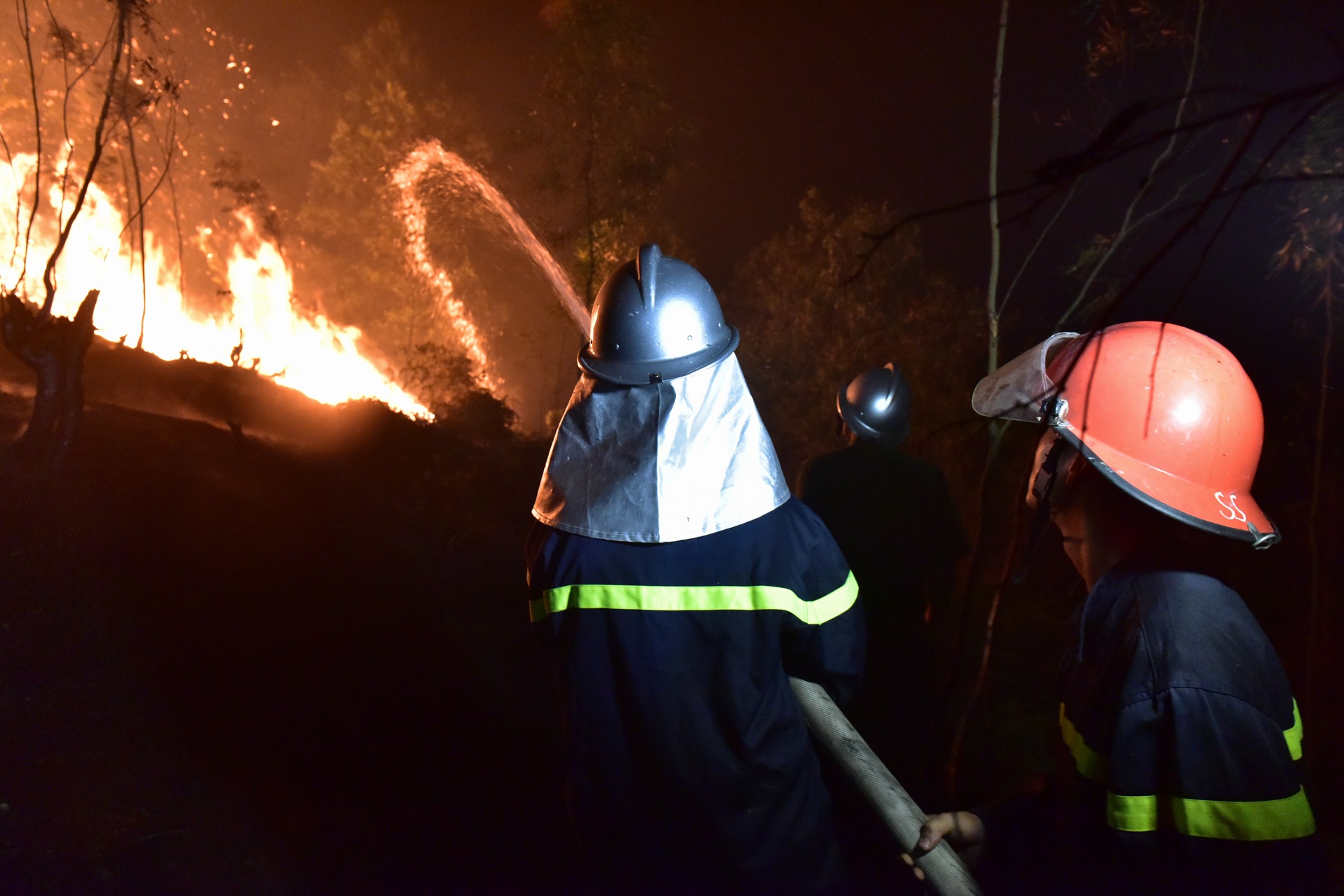 chay rung o Soc Son anh 8