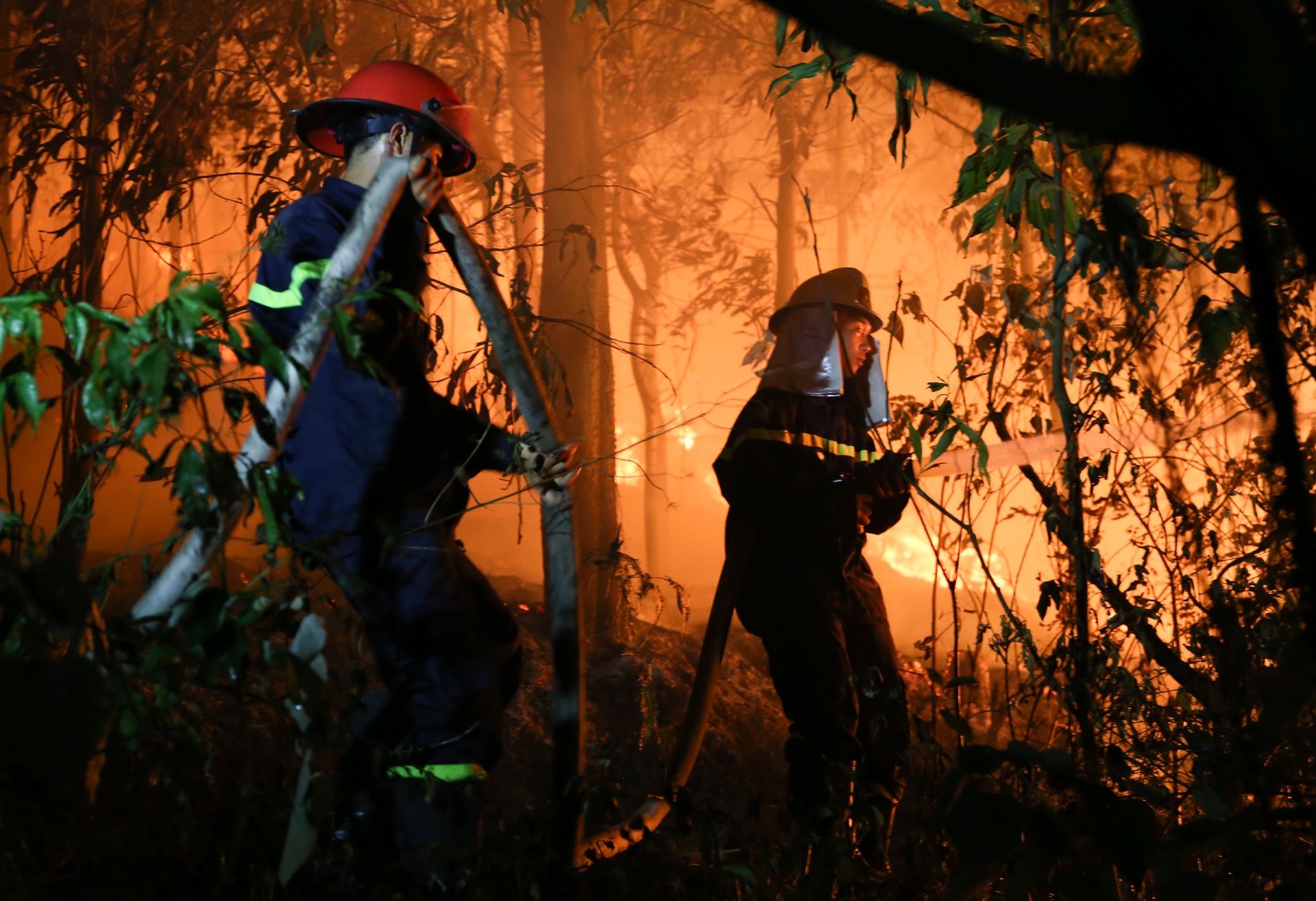 Canh sat phong chay chua chay dap lua cuu rung trong dem hinh anh