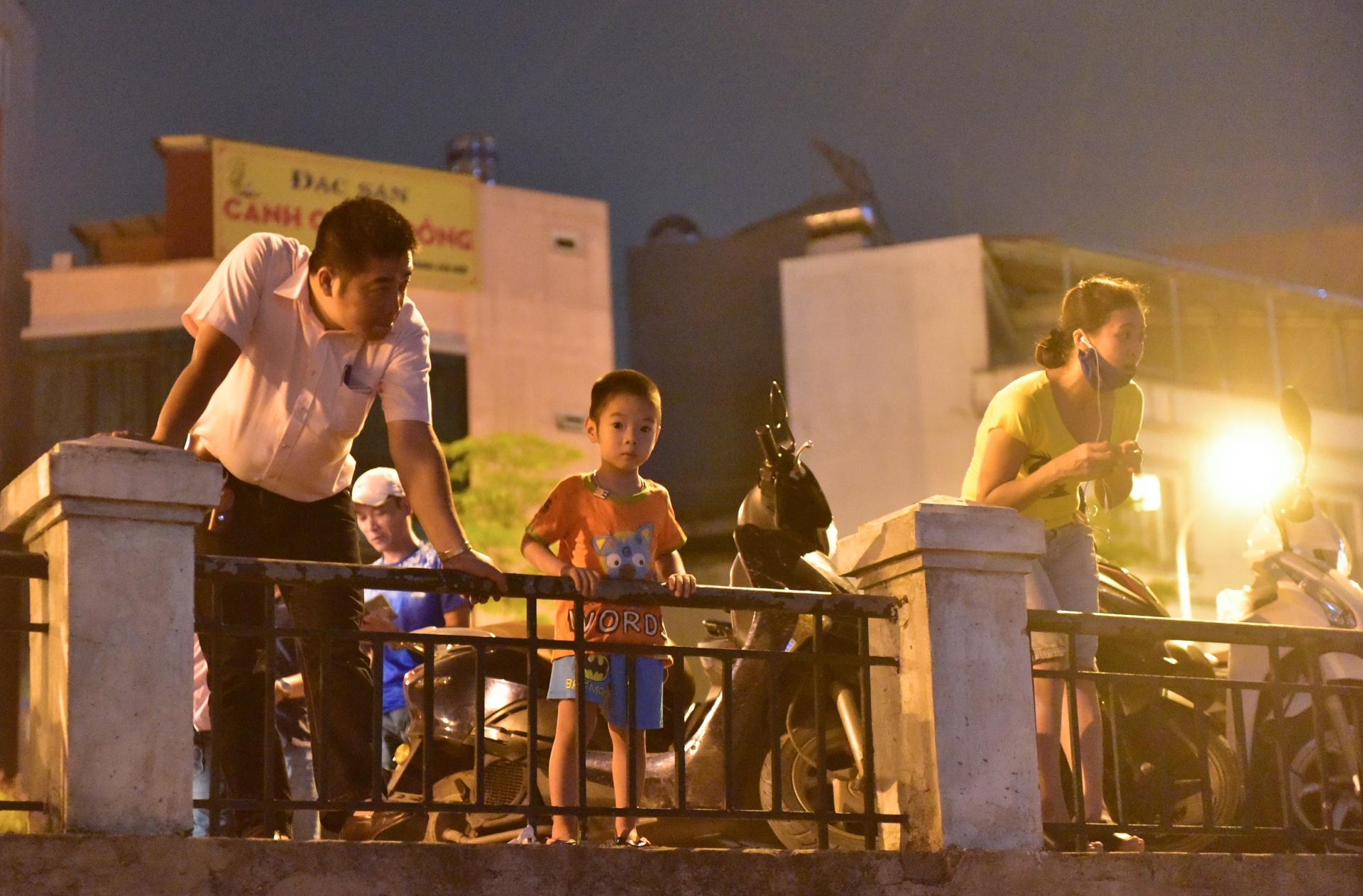 cá chết ở hồ Hoàng Cầu ảnh 10 ca chet o ho Hoang Cau anh 10