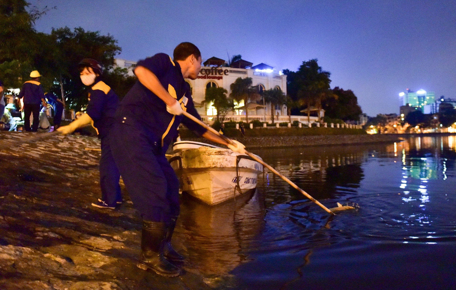 cá chết ở hồ Hoàng Cầu ảnh 5 ca chet o ho Hoang Cau anh 5