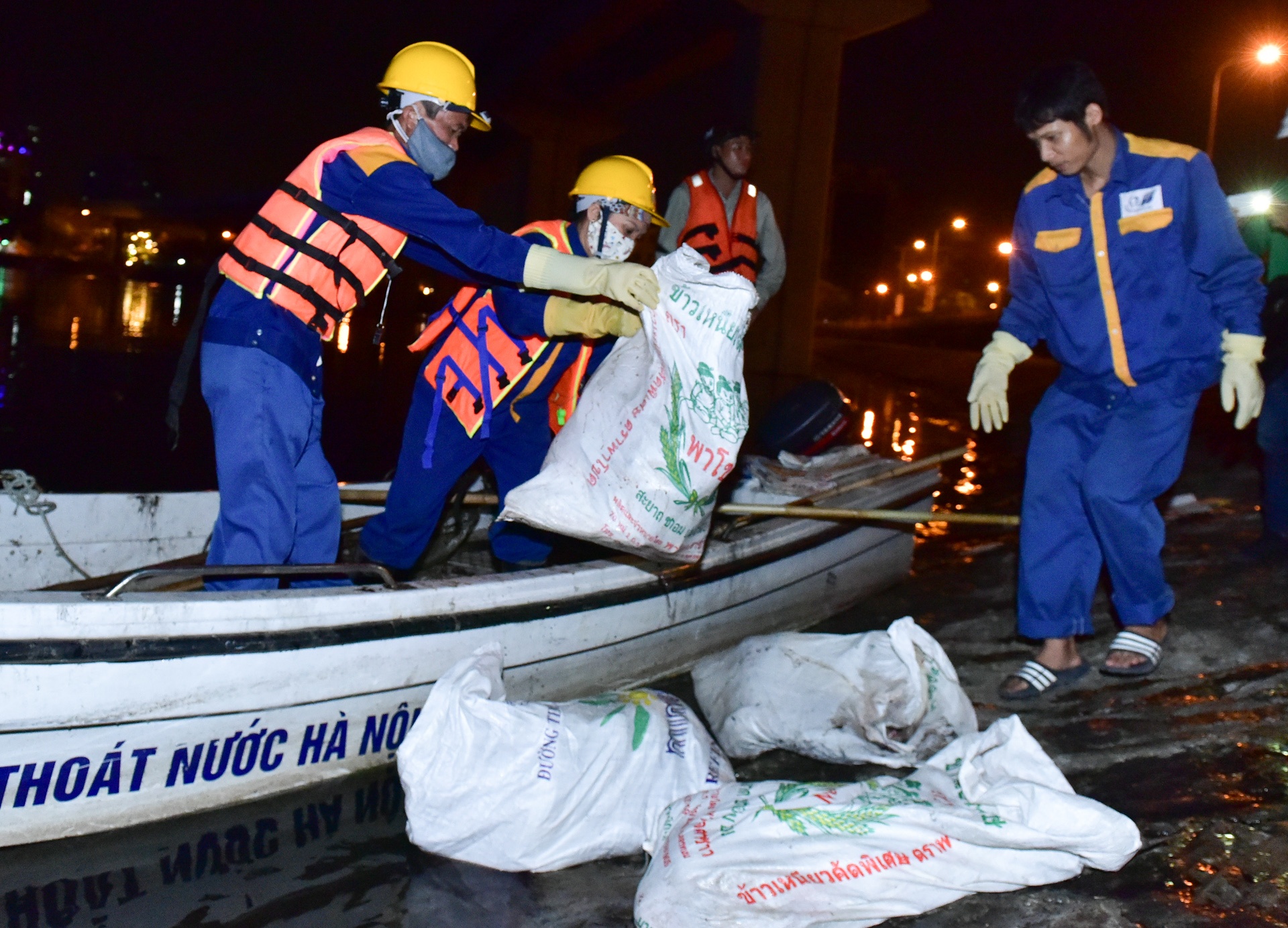 cá chết ở hồ Hoàng Cầu ảnh 6 ca chet o ho Hoang Cau anh 6