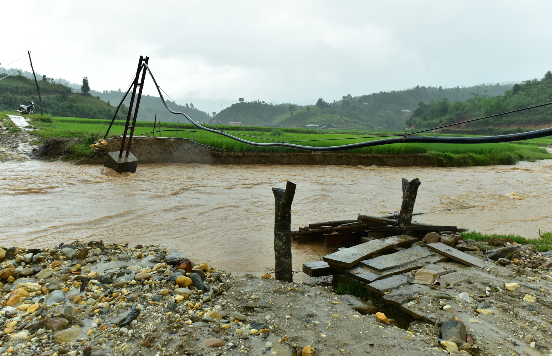 cau bi lu cuon troi anh 1