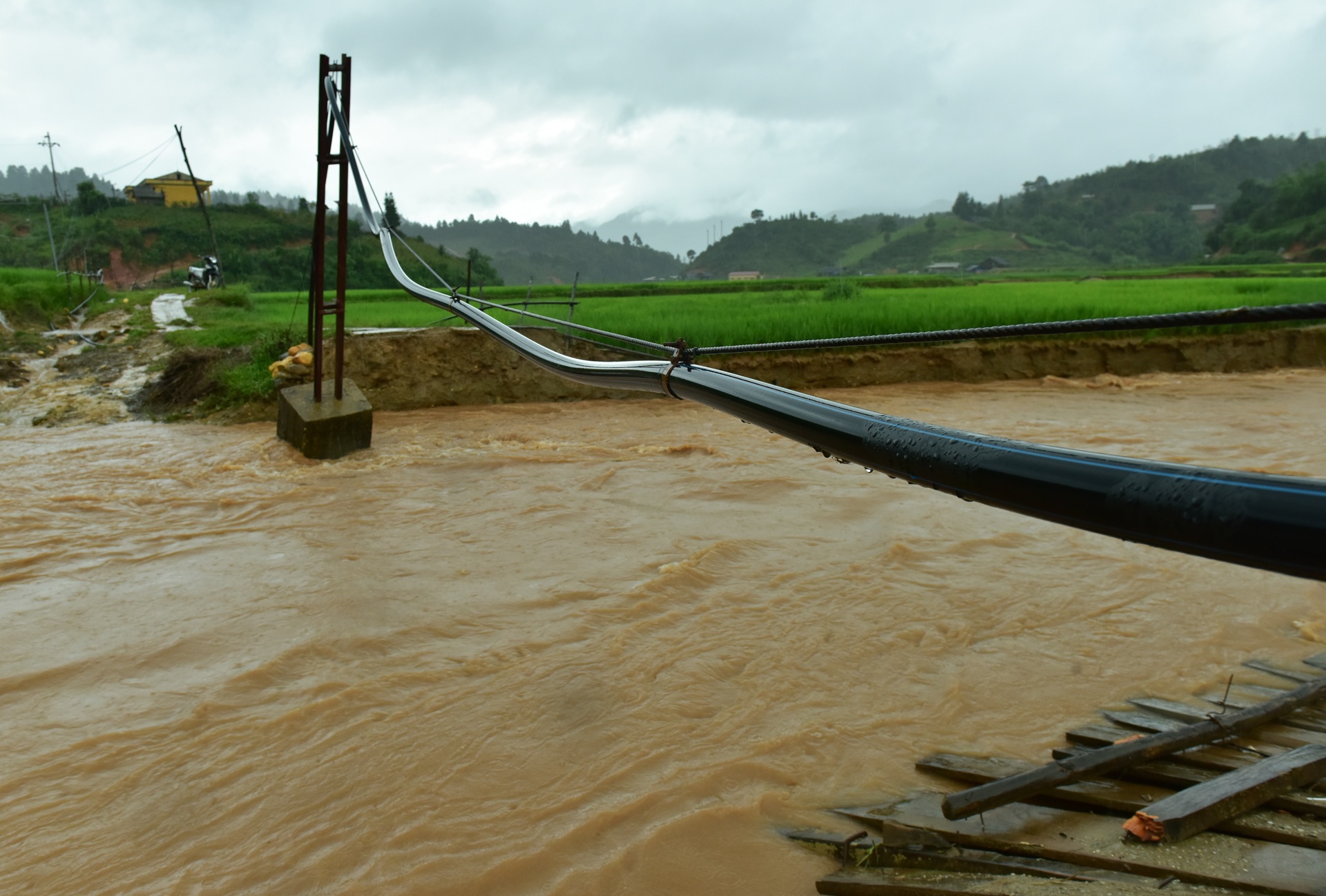 cau bi lu cuon troi anh 2