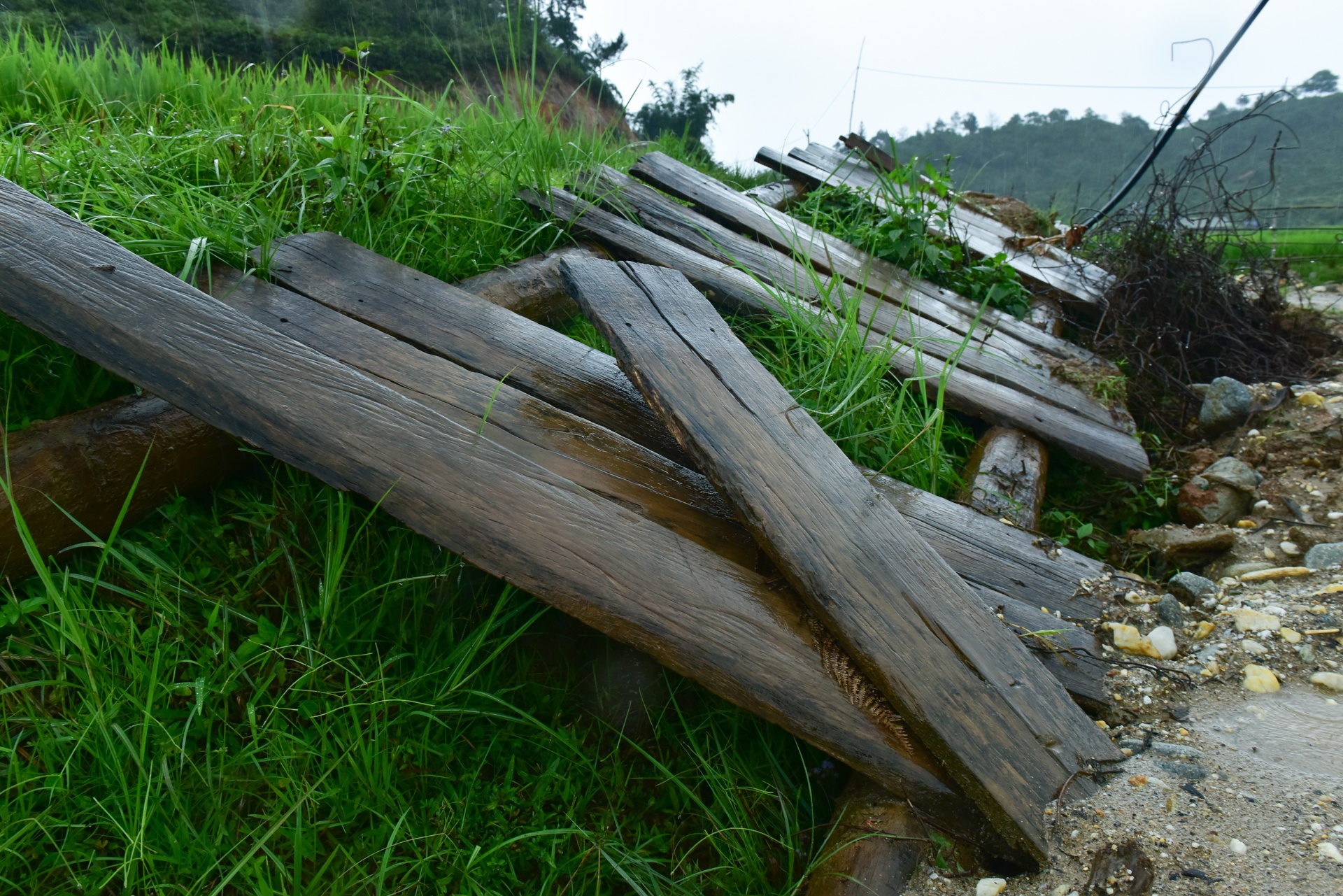 cau bi lu cuon troi anh 4