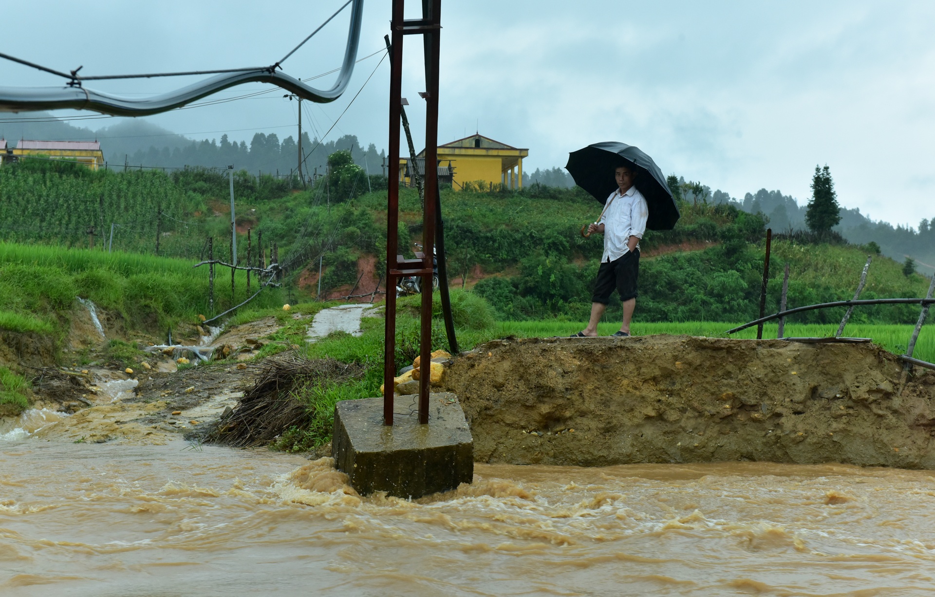 cau bi lu cuon troi anh 5