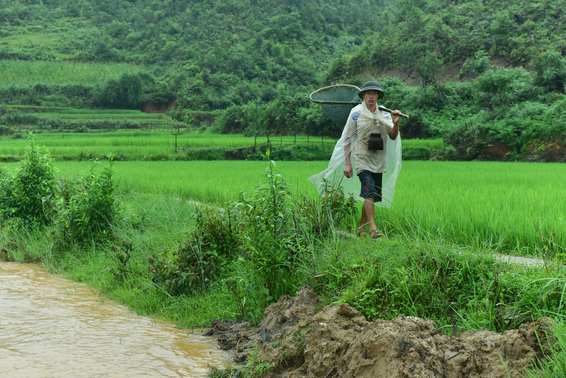 cau bi lu cuon troi anh 6
