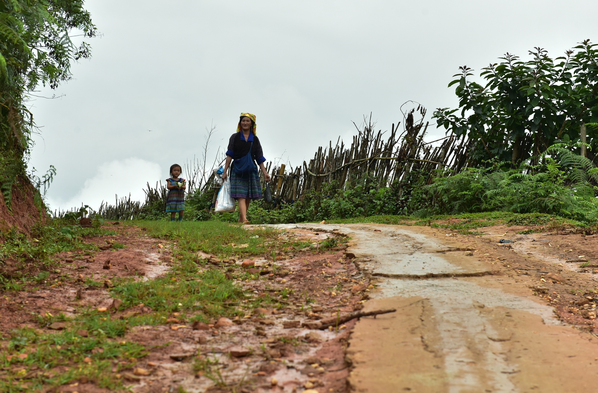 cau bi lu cuon troi anh 9