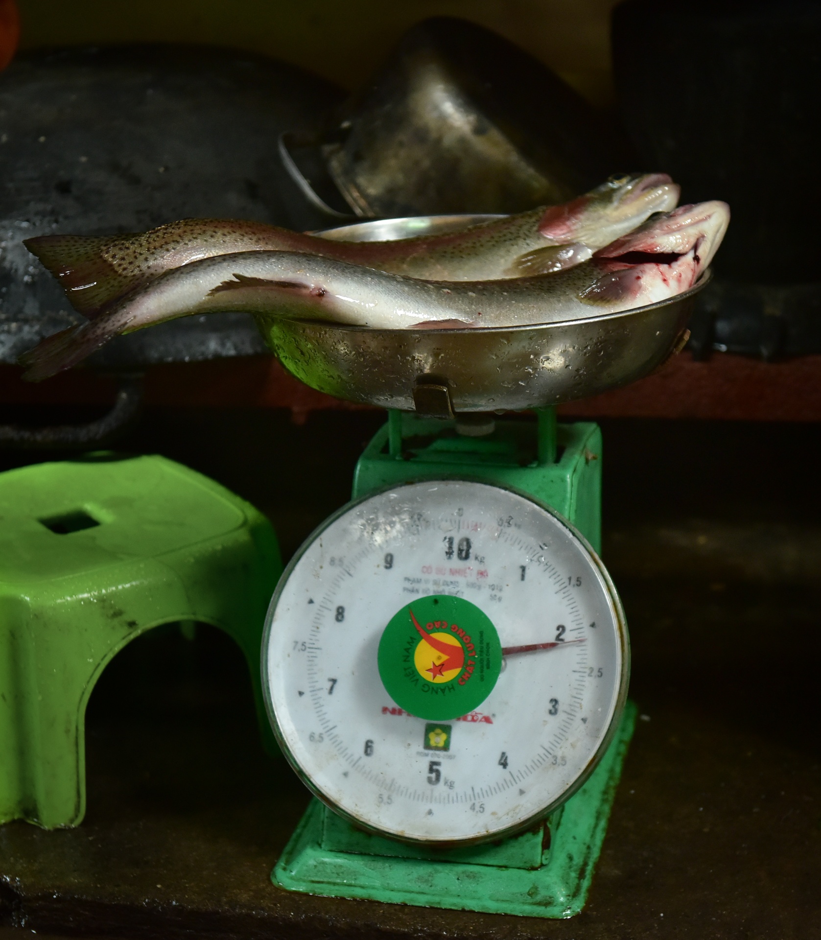 Trang trai ca hoi Khau Pha anh 10