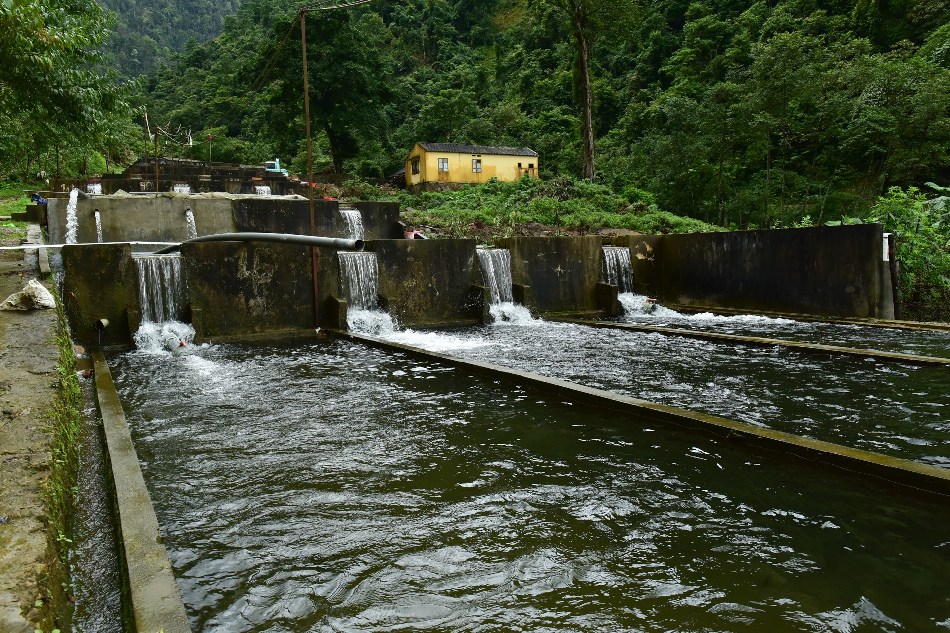 Trang trai ca hoi Khau Pha anh 1