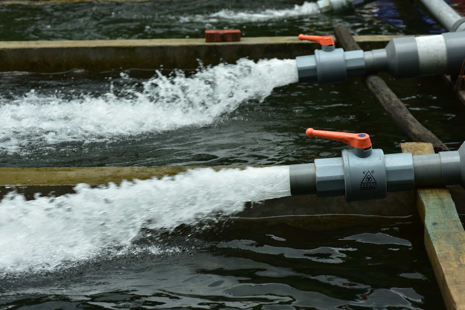 Trang trai ca hoi Khau Pha anh 3