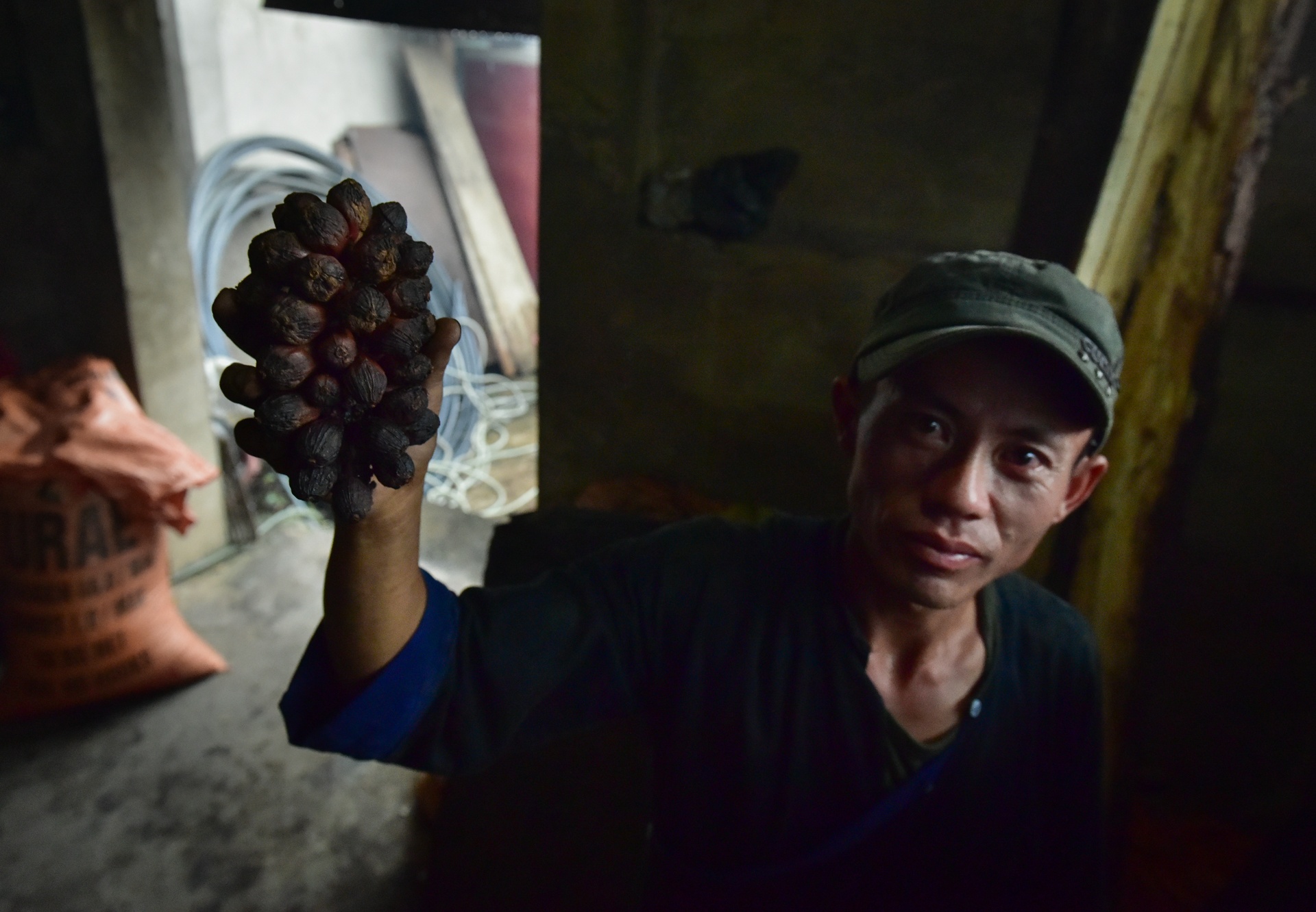 thao qua mat mua anh 5