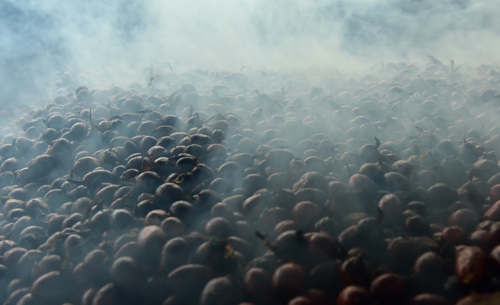 thao qua mat mua anh 7