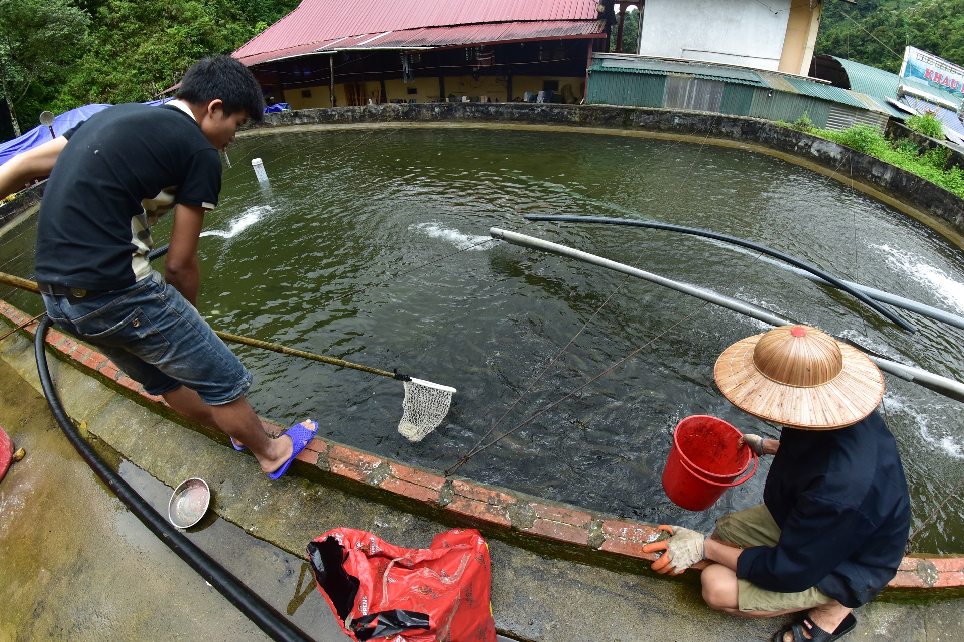 Trang trai ca hoi Khau Pha anh 8