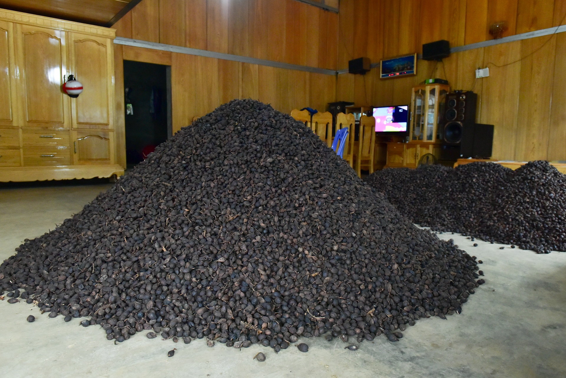 thao qua mat mua anh 9