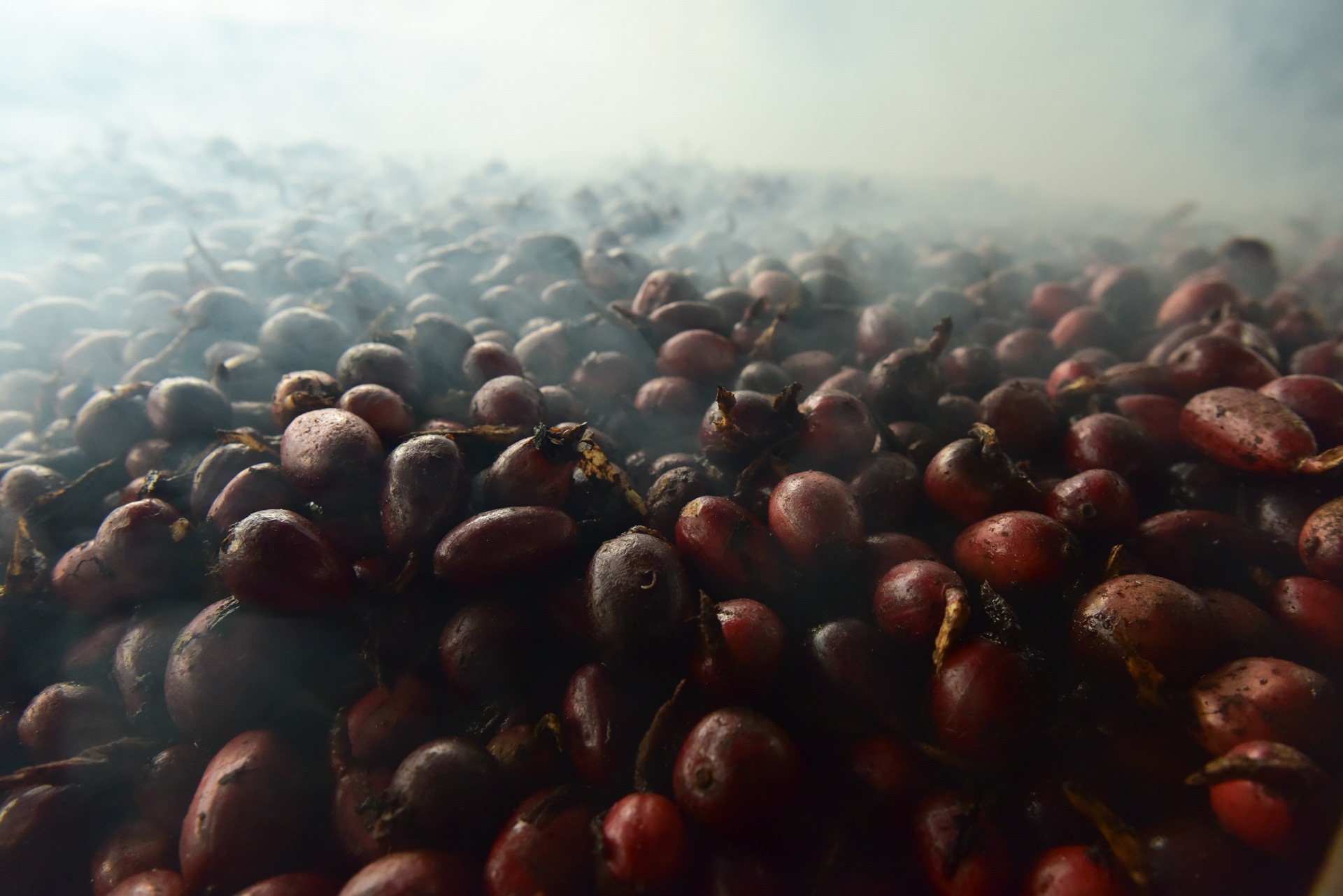 Thao qua mat mua sau dot bang tuyet nam 2016 hinh anh