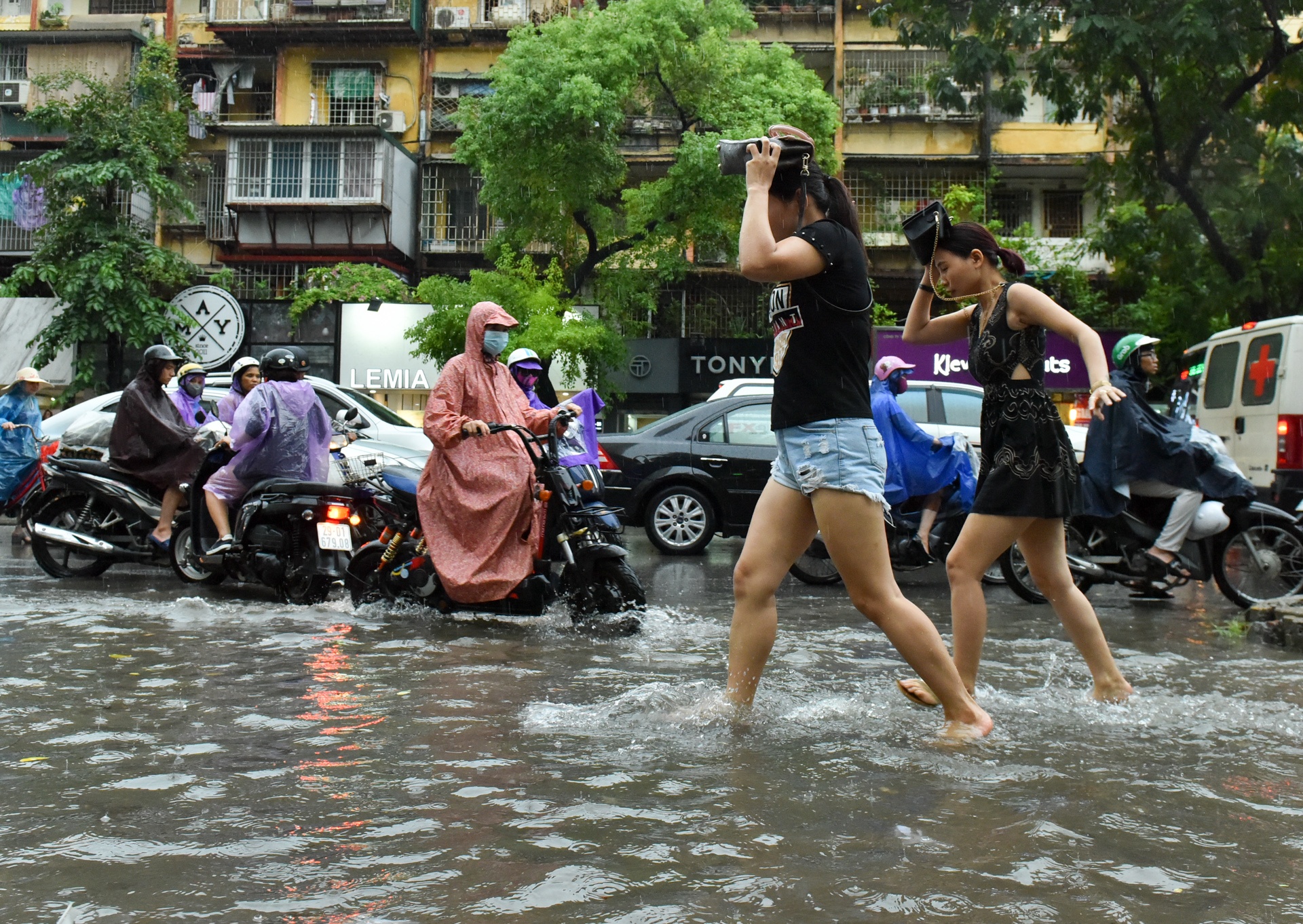 ngap sau mua o Ha Noi anh 3