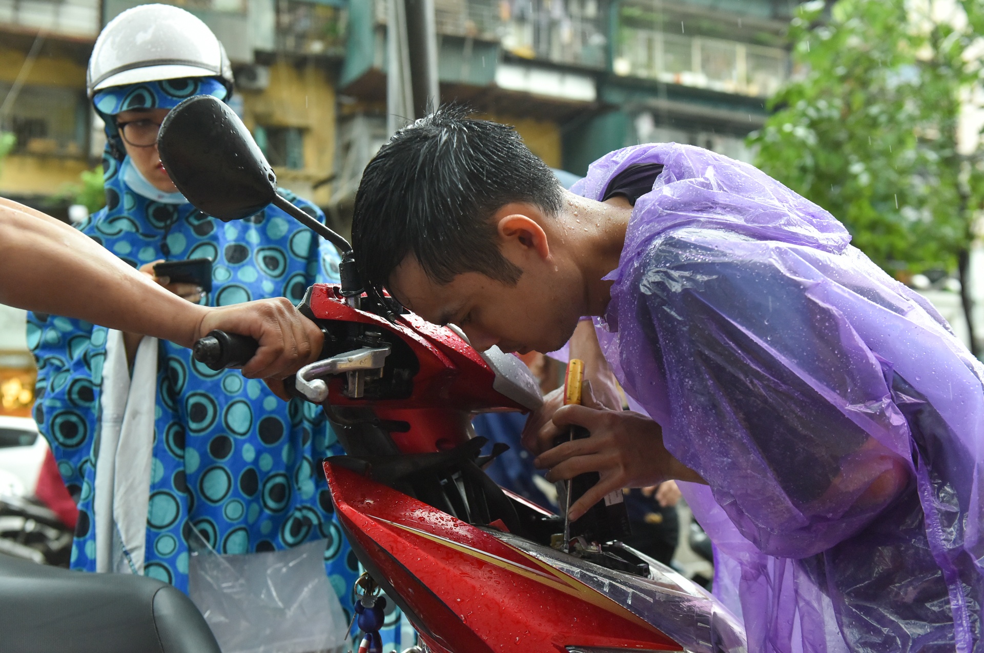 ngap sau mua o Ha Noi anh 6