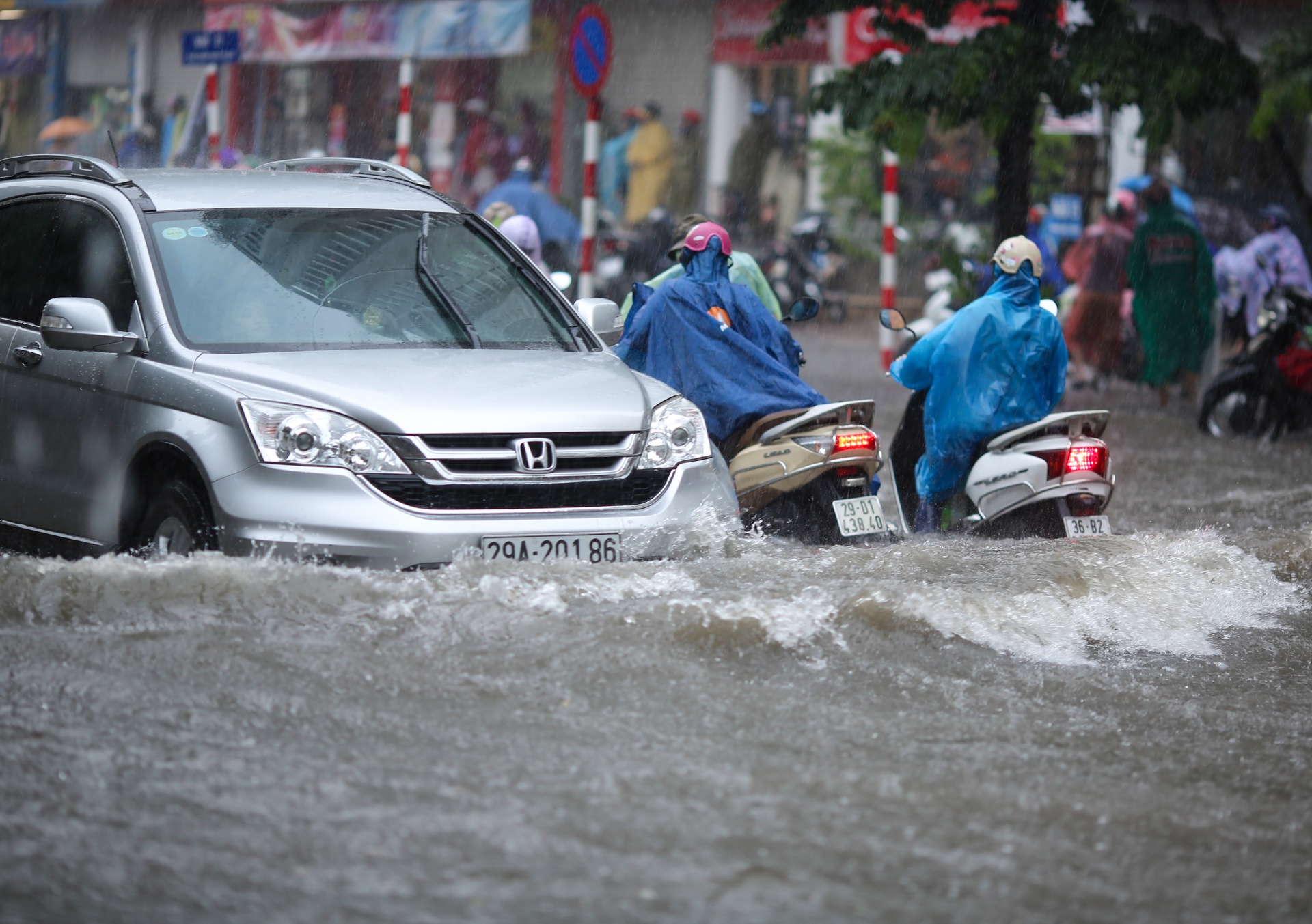 ngap sau mua o Ha Noi anh 8