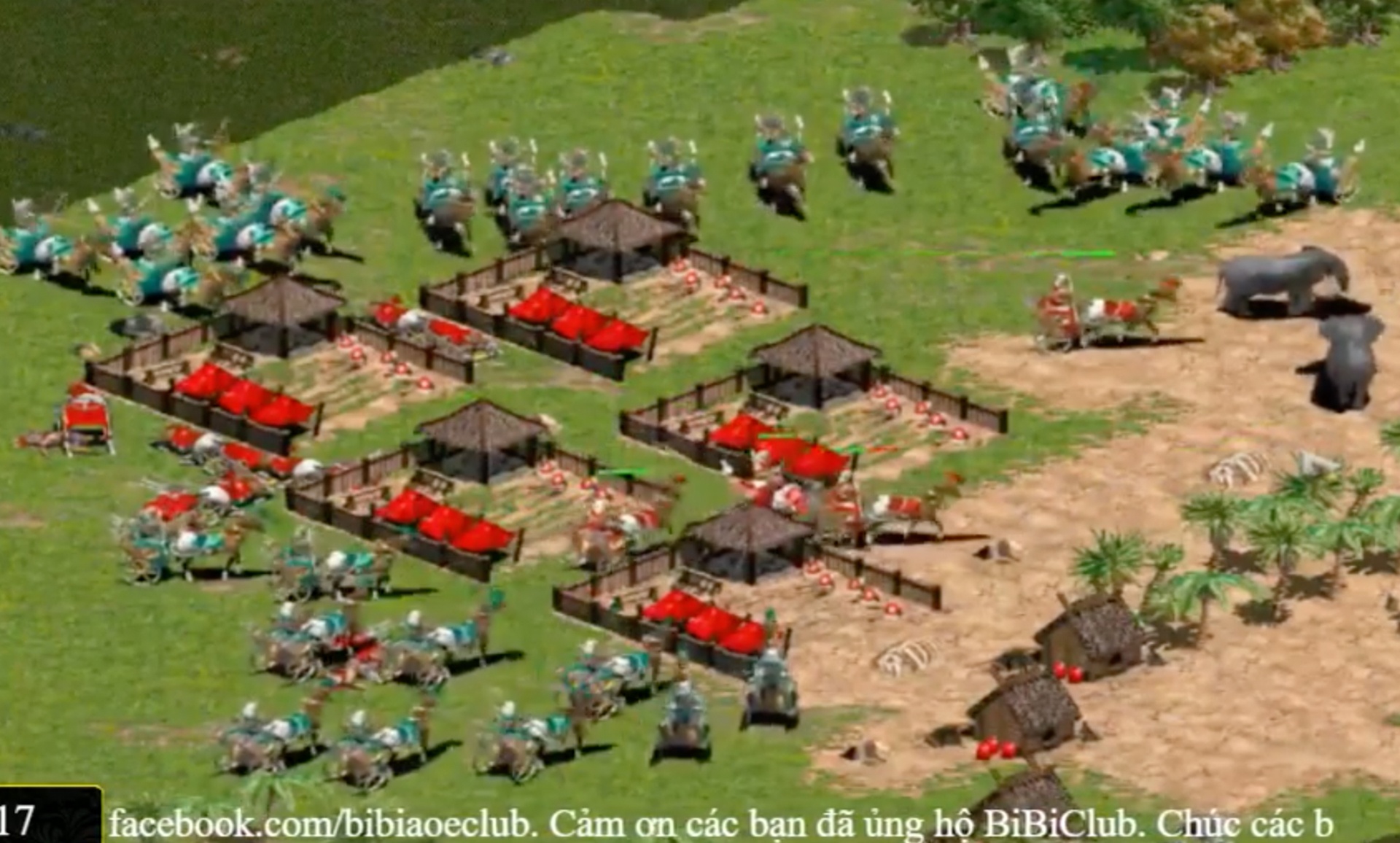 Giay phut Chim Se ha guc Shenlong de len ngoi vo dich Solo Shang hinh anh