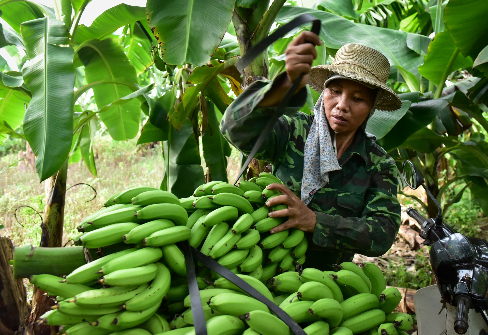 Chuoi mat mua mat gia anh 10