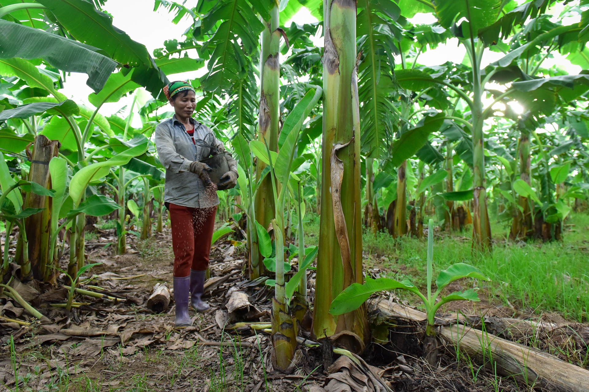 Chuoi mat mua mat gia anh 12