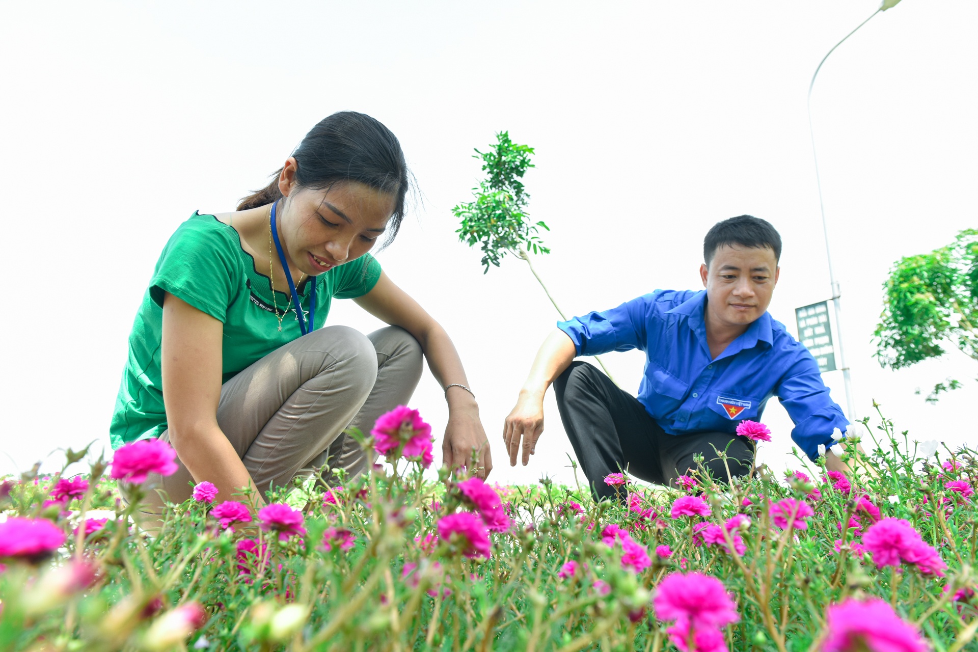 Duong hoa muoi gio o ha noi anh 7