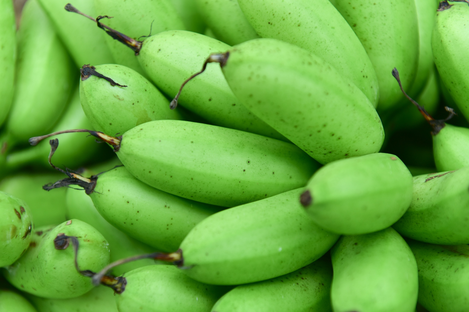 Chuoi mat mua mat gia anh 9