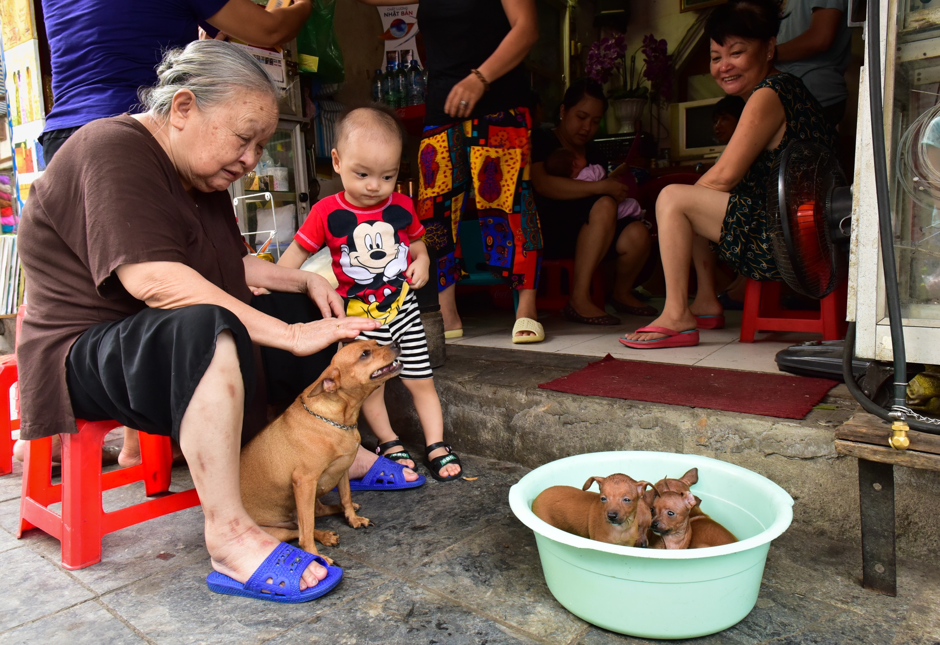 Ha Noi binh yen ngay quoc khanh anh 14