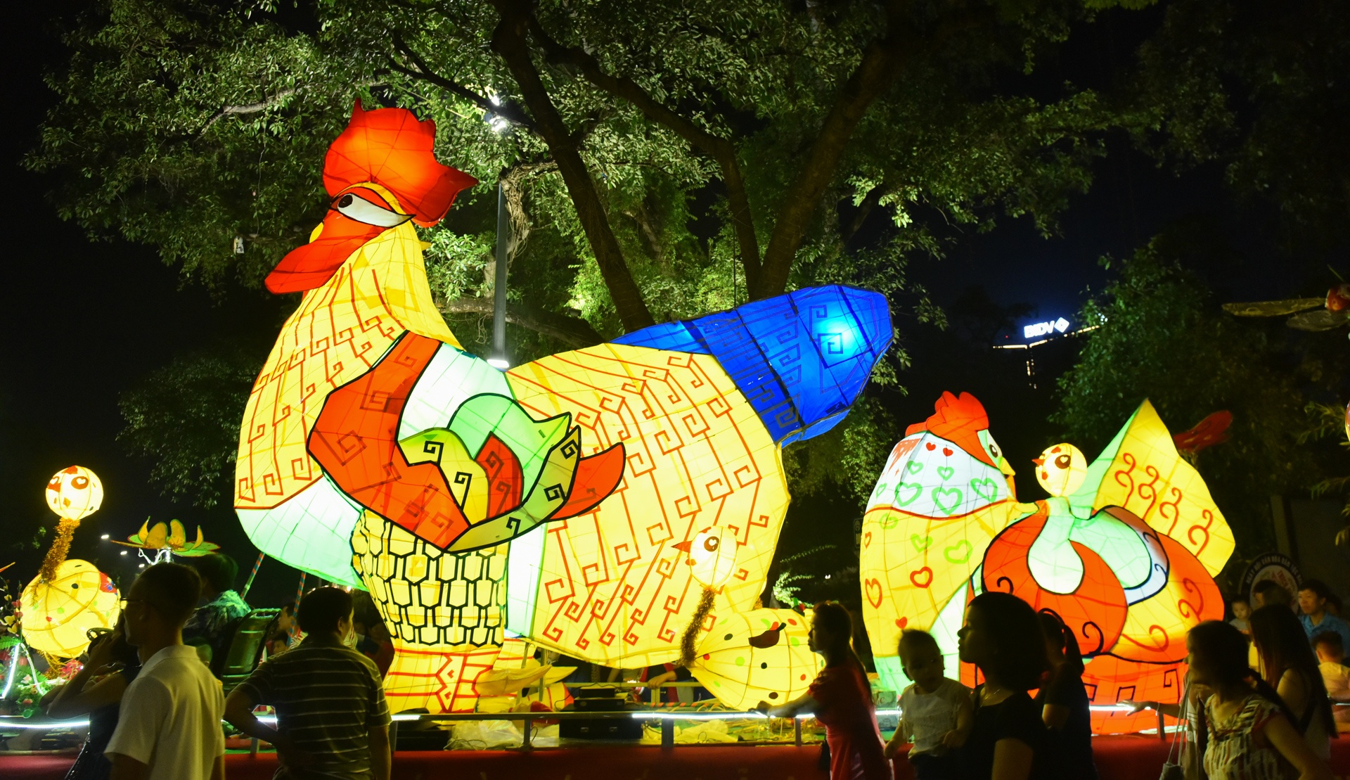 Den long ga khong lo dieu hanh tren pho di bo hinh anh