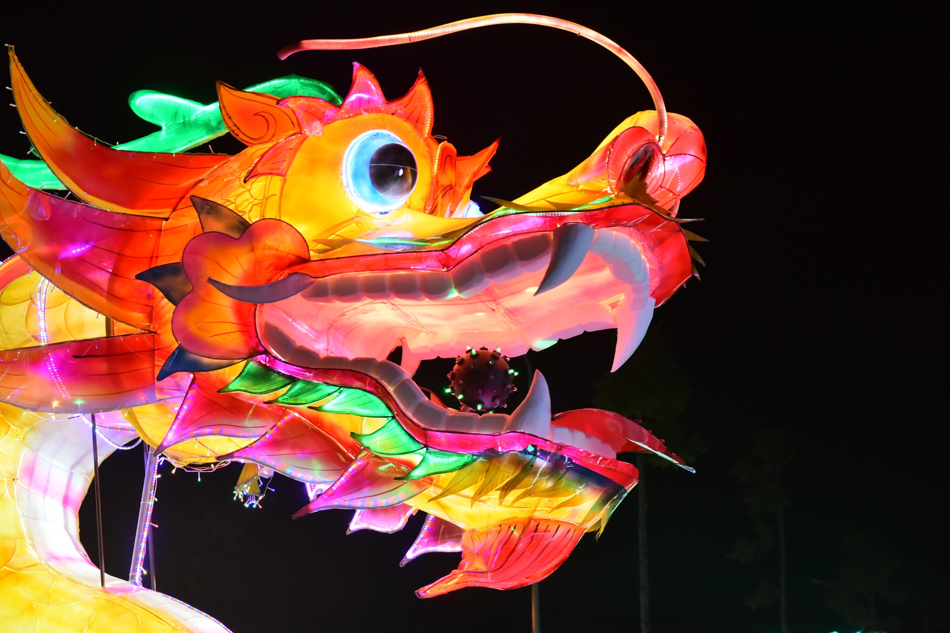 Le hoi thanh Tuyen 2017 anh 7