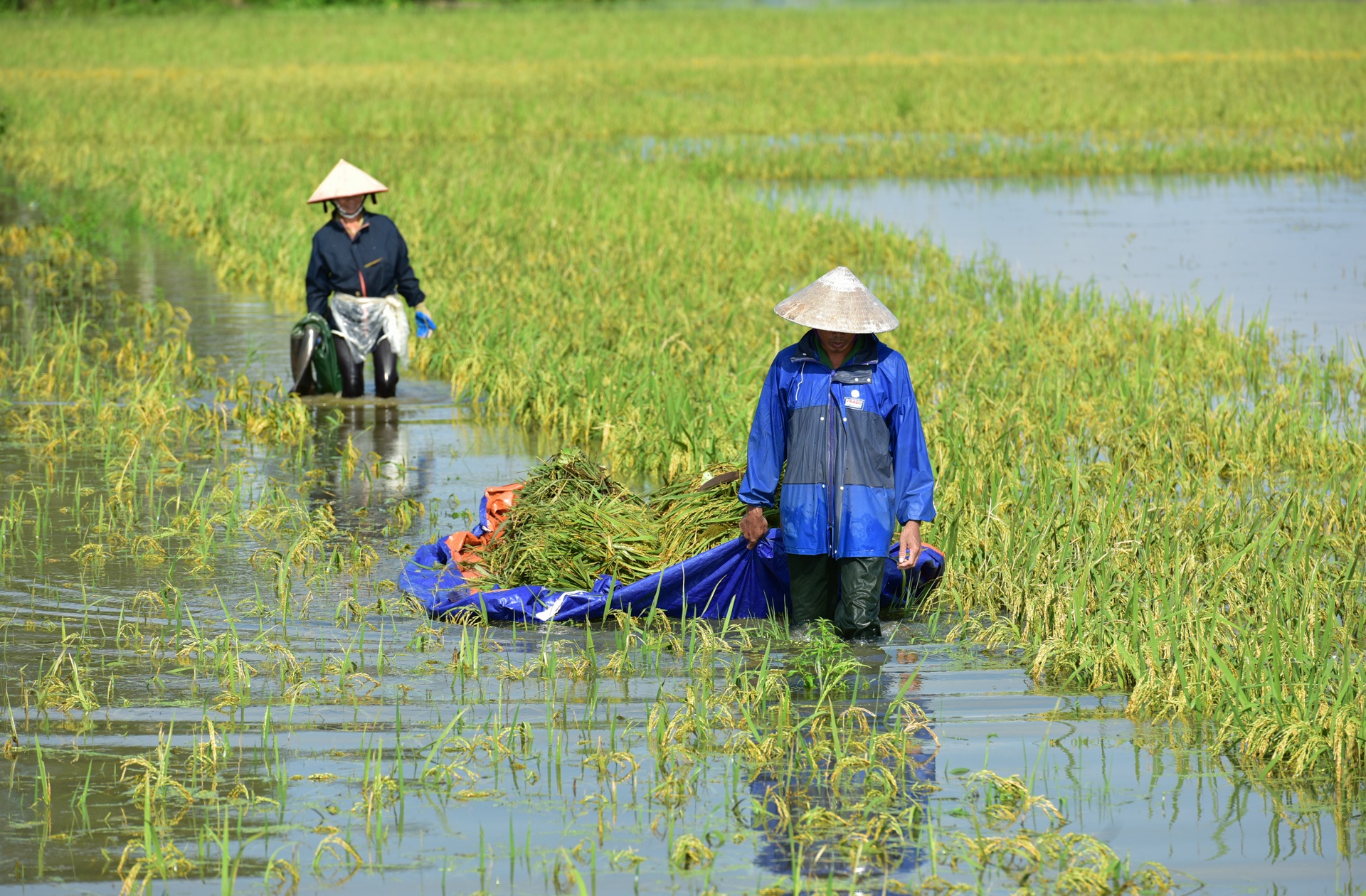 nuoc ngap den noc nha o Ninh Binh anh 6