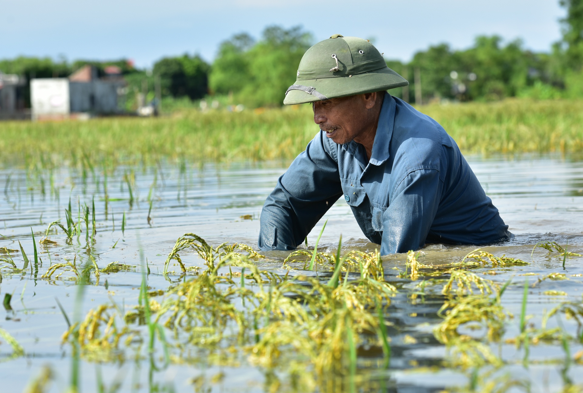 nuoc ngap den noc nha o Ninh Binh anh 7