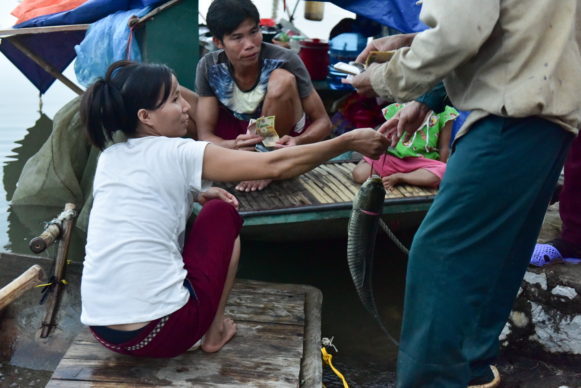 bat ca trong lu lich su o Ninh Binh anh 10
