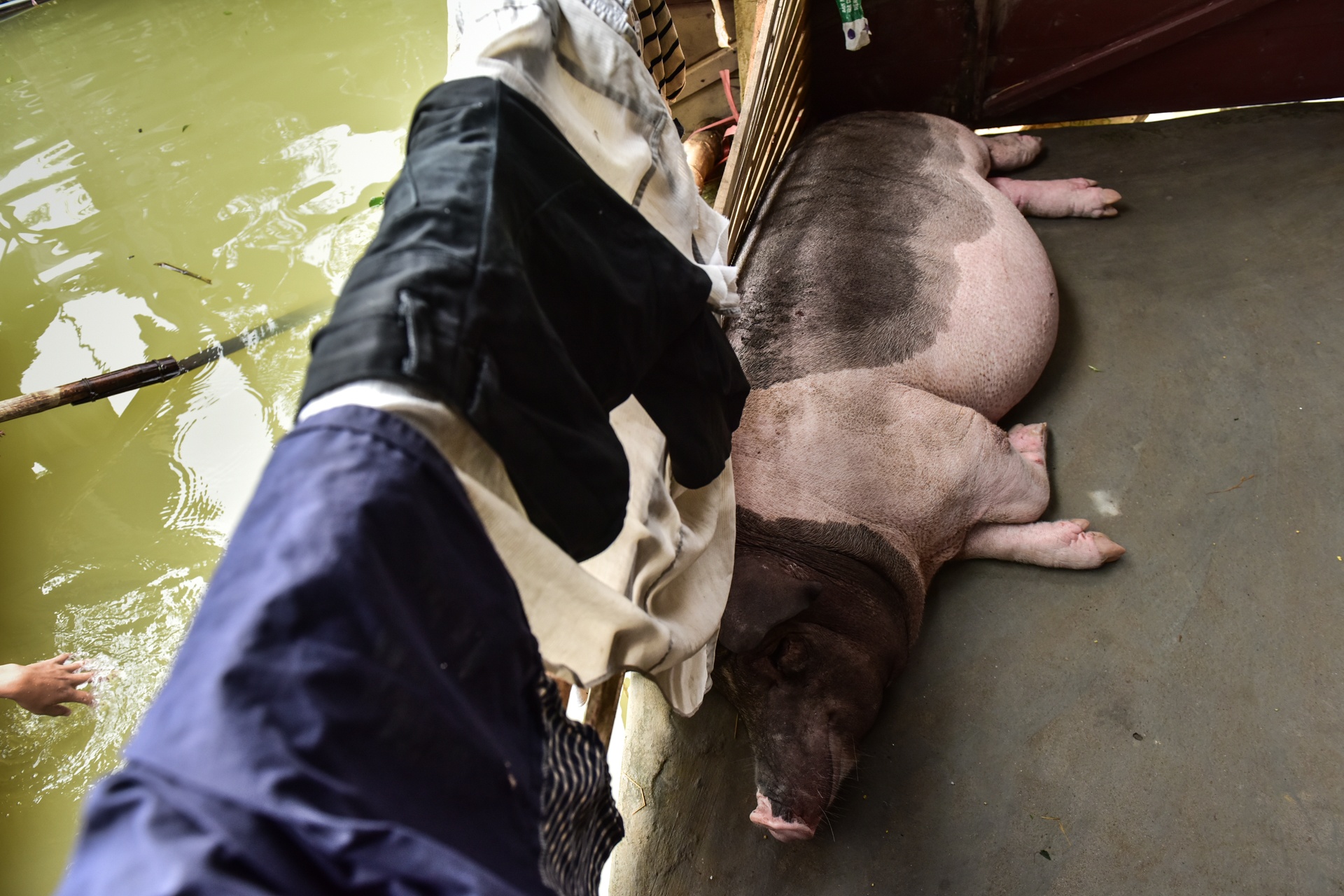 ngoi lang bien thanh quan dao o Ninh Binh anh 11