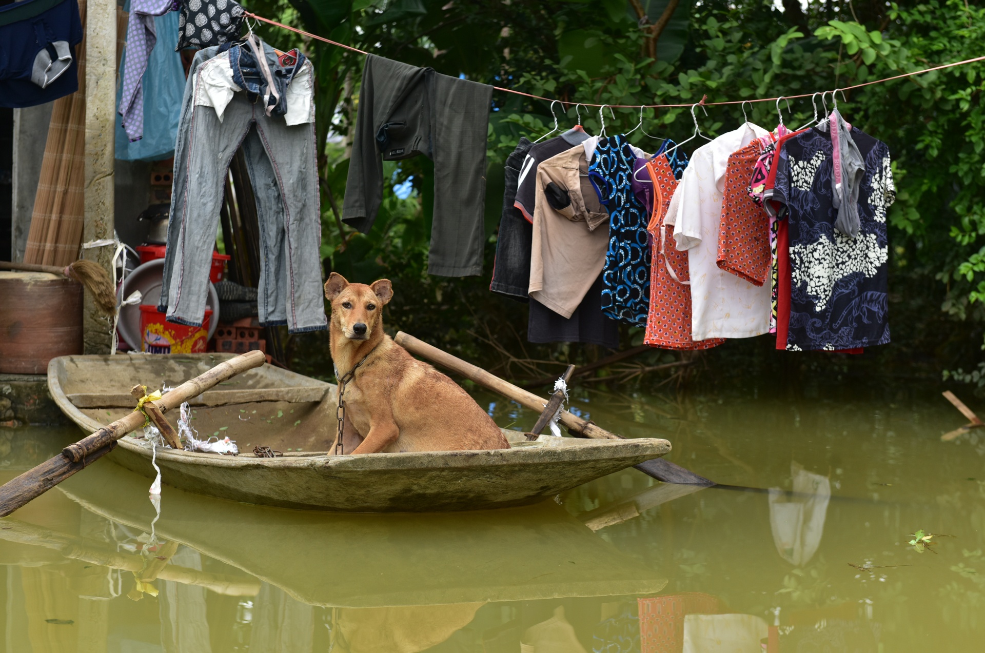 ngoi lang bien thanh quan dao o Ninh Binh anh 12