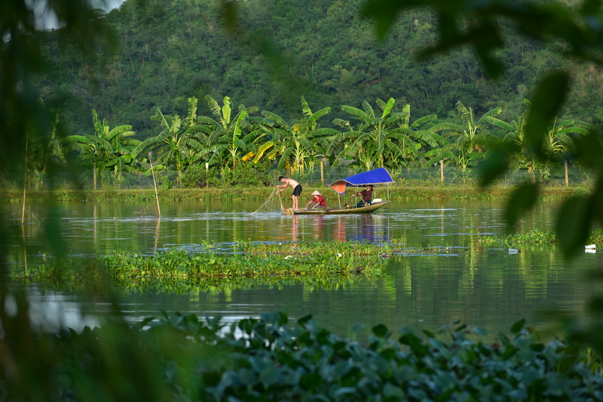 bat ca trong lu lich su o Ninh Binh anh 2