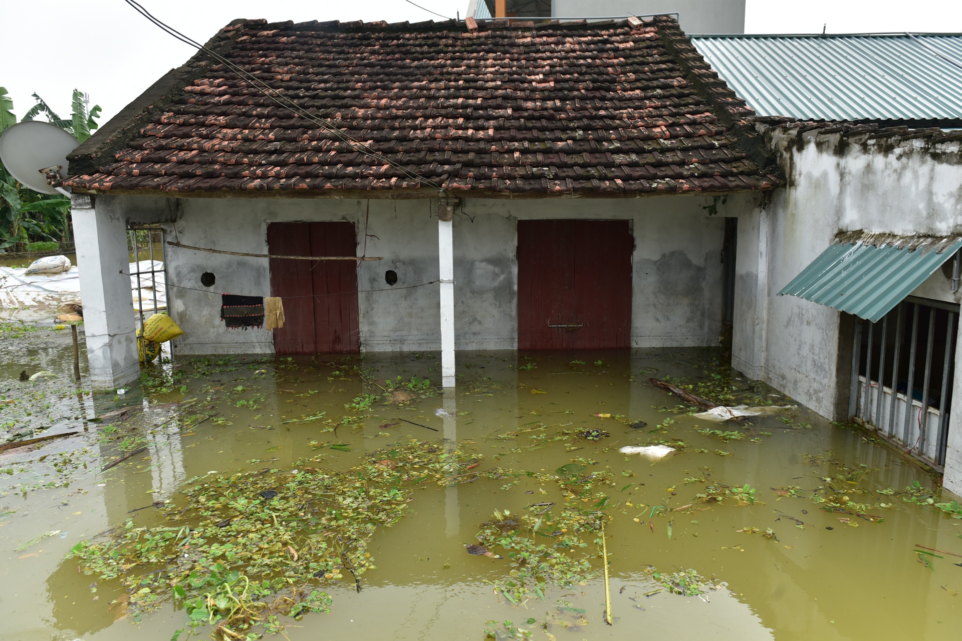 ngoi lang bien thanh quan dao o Ninh Binh anh 3