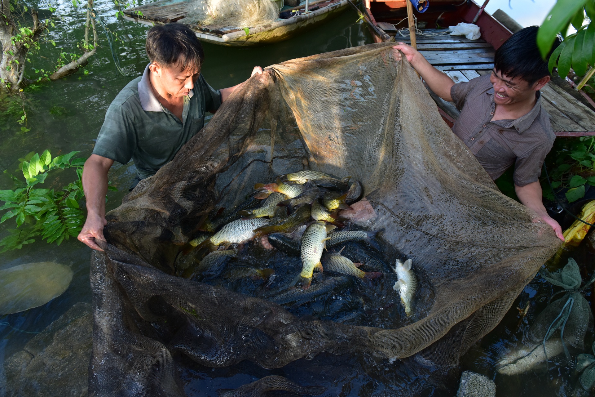 Bat ca moi tay trong nuoc lu hinh anh