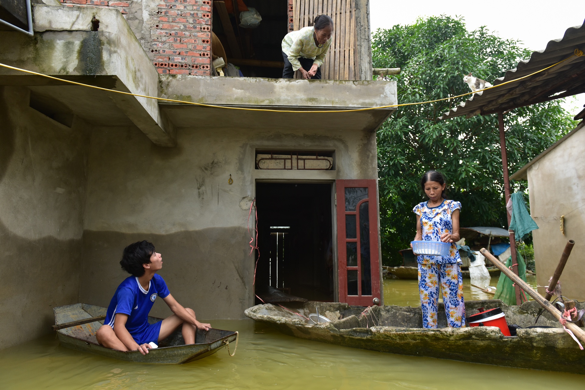 Canh 'an nho o dau' sau tran lu hinh anh