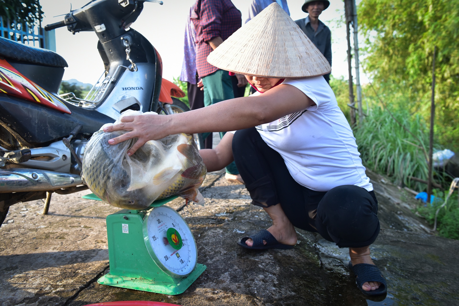 bat ca trong lu lich su o Ninh Binh anh 7