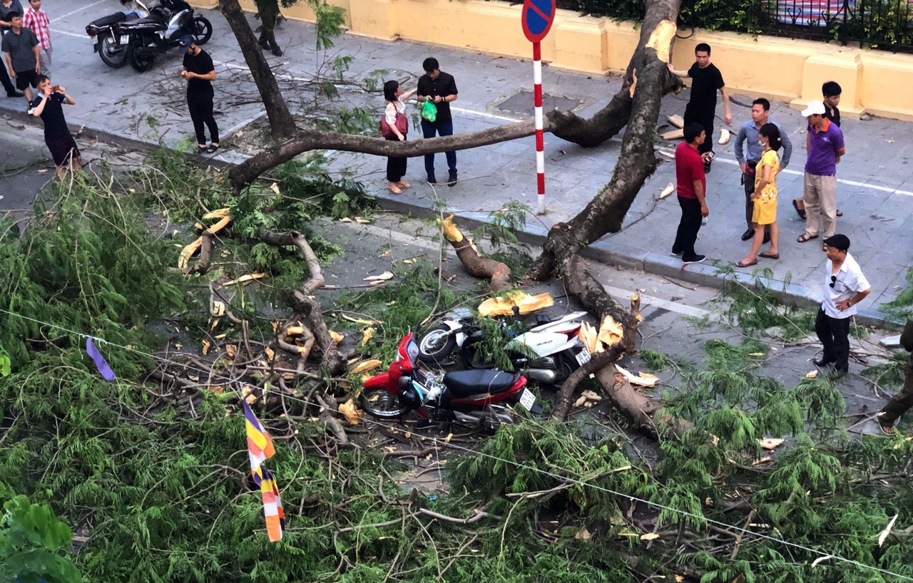 cay do de bep xe may tren pho Quan Su anh 1