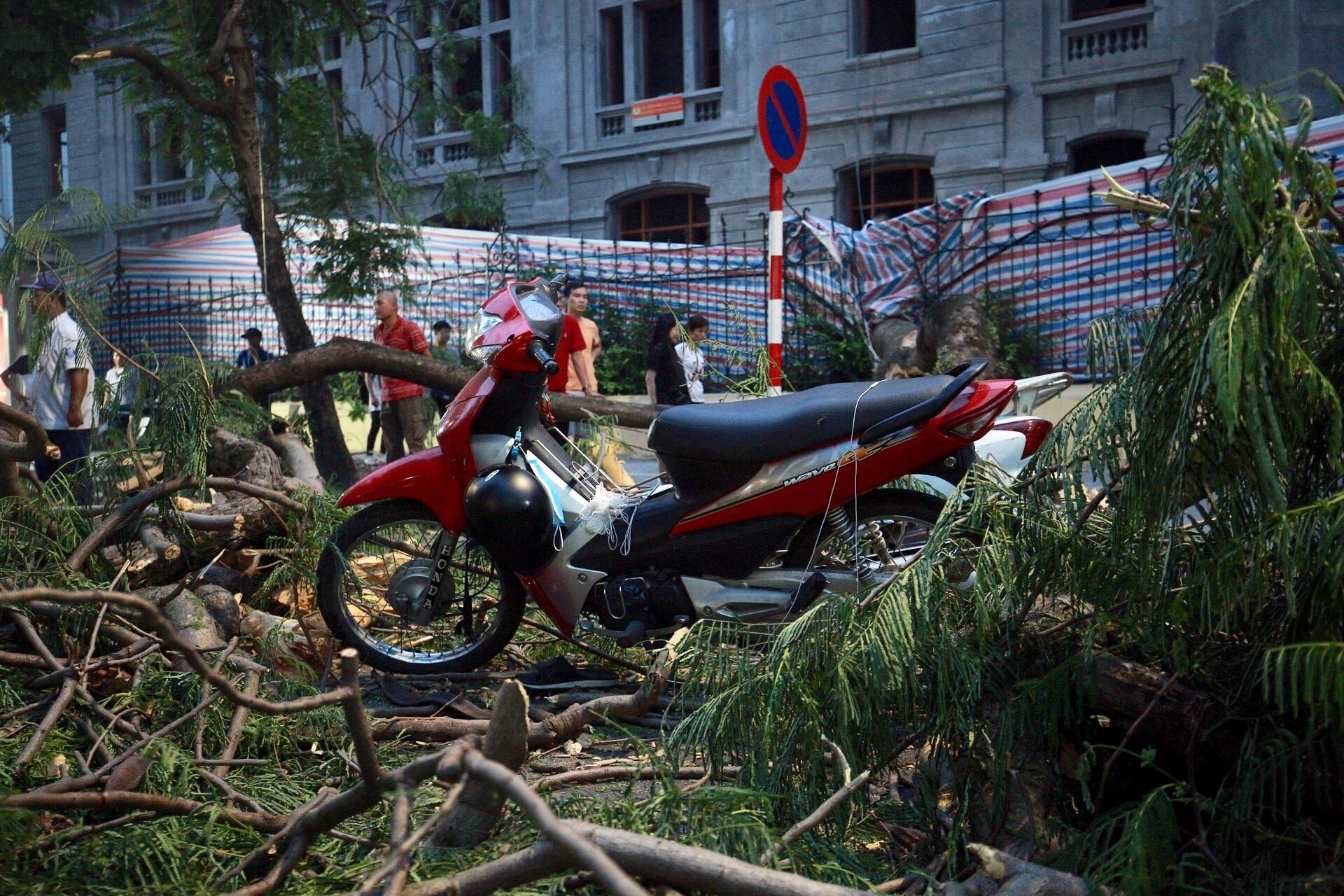 cay do de bep xe may tren pho Quan Su anh 2