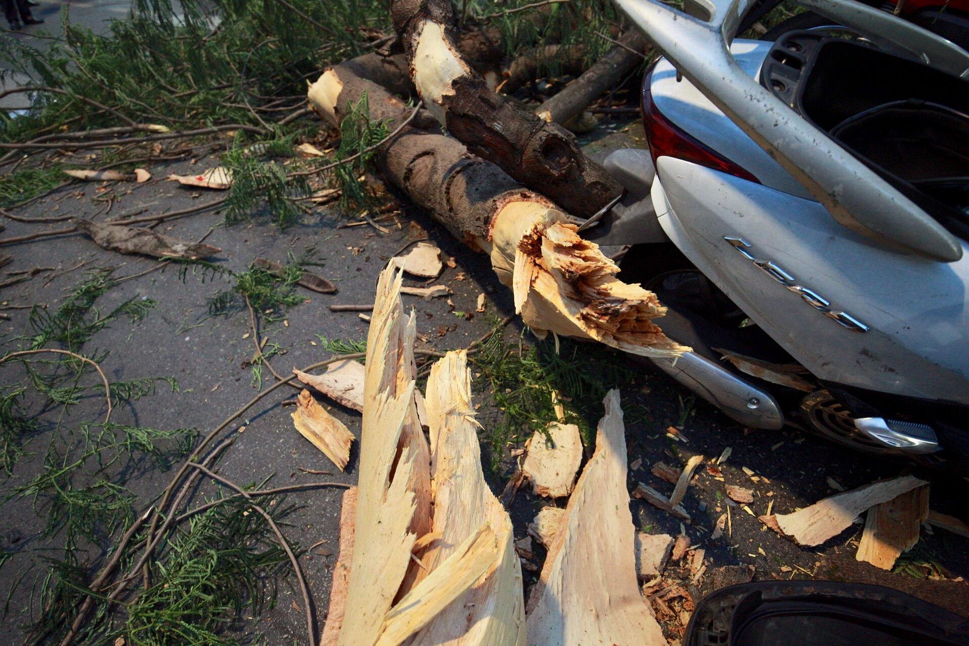 cay do de bep xe may tren pho Quan Su anh 3